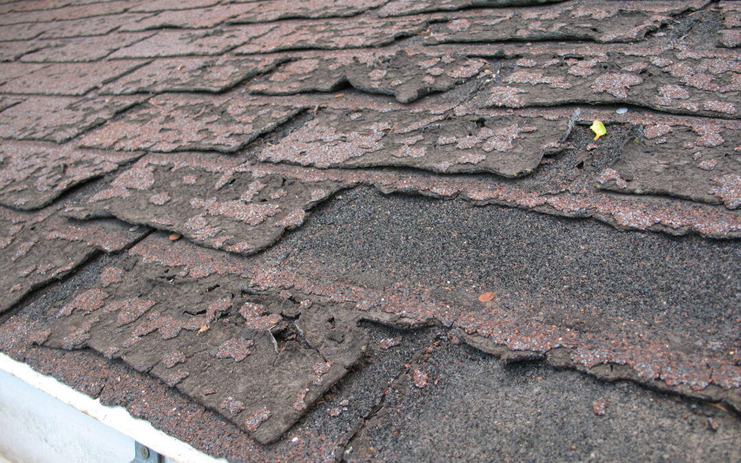 Shingle Warranties Myths and Facts
